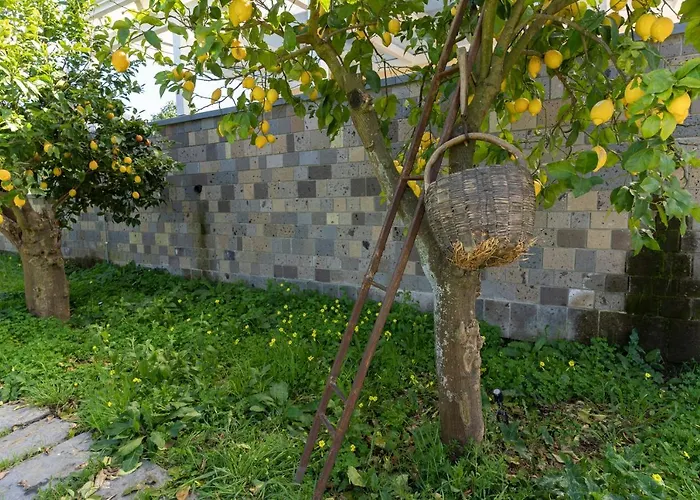 Tenuta Di Leva Piano di Sorrento